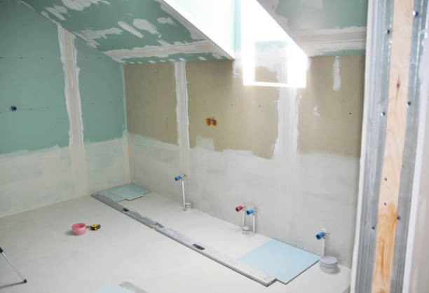 Best Attic Mold Removal  in Lugoff, SC