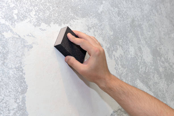 Professional Mold Removal in Lugoff, SC