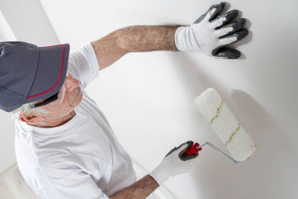 Best Water Damage & Mold Remediation  in Lugoff, SC