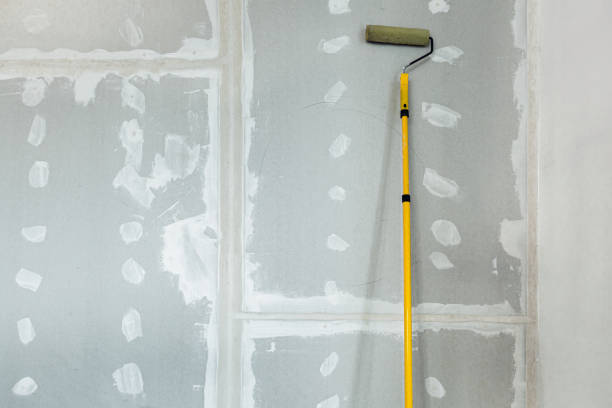Best Residential Mold Inspection & Testing  in Lugoff, SC